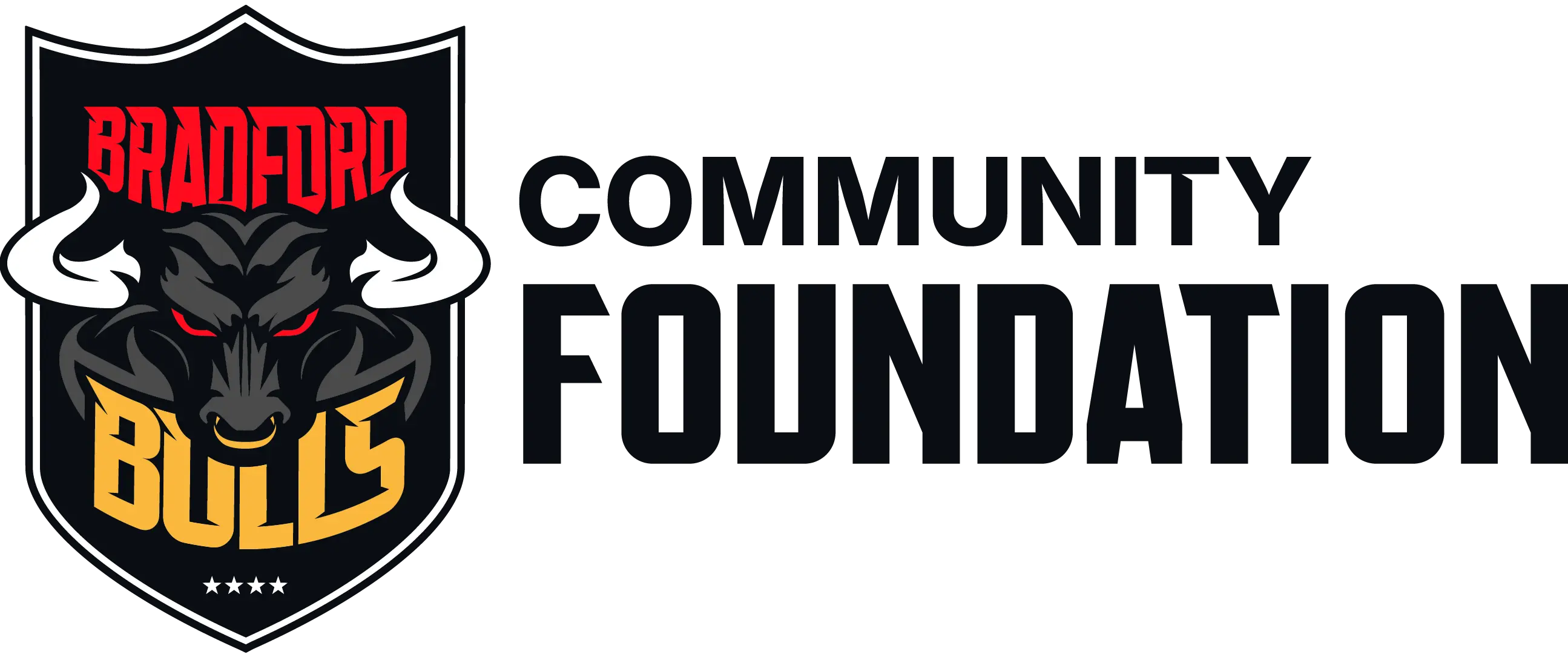 Bradford Bulls Foundation Logo